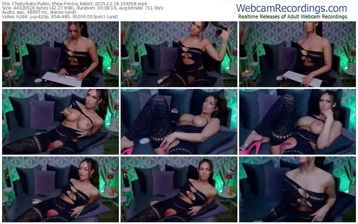 2025/12/18/chaturbate-mina_babe1-10-40-58
