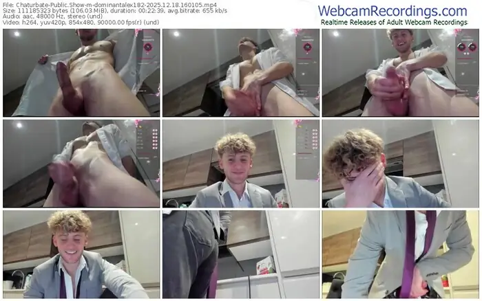 2025/12/18/chaturbate-dominantalex182-16-01-05