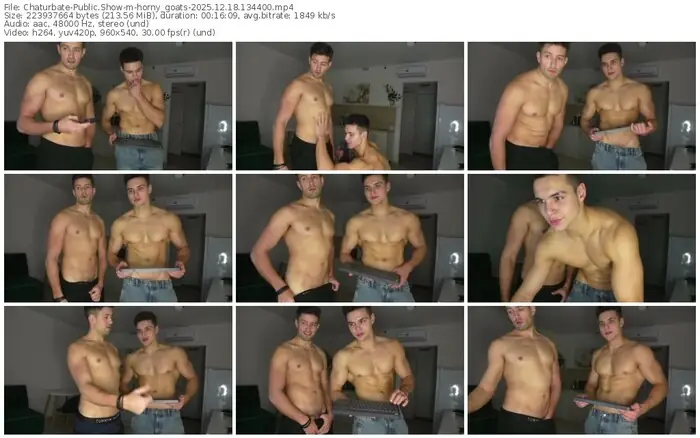 2025/12/18/chaturbate-horny_goats-13-44-00