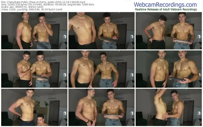 2025/12/18/chaturbate-horny_goats-13-46-39