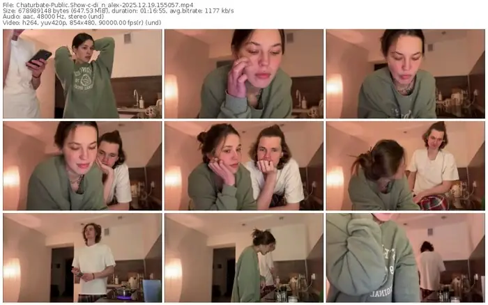 2025/12/19/chaturbate-di_n_alex-15-50-57