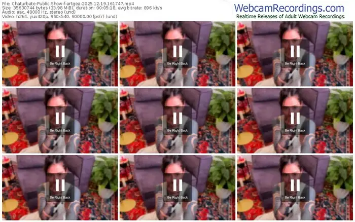 2025/12/19/chaturbate-artgea-16-17-47