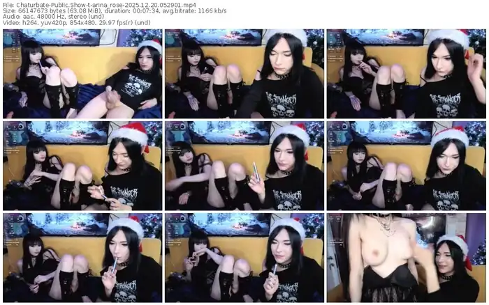 2025/12/20/chaturbate-arina_rose-05-29-01