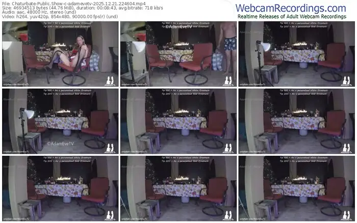 2025/12/21/chaturbate-adamevetv-22-46-04
