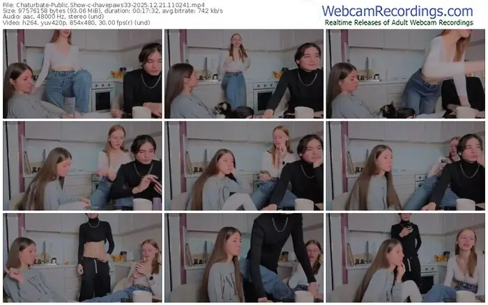 2025/12/21/chaturbate-ihavepaws33-11-02-41