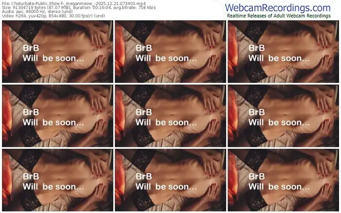 2025/12/21/chaturbate-_meganmeow_-07-34-03