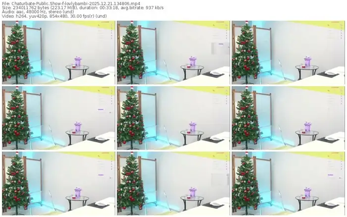 2025/12/21/chaturbate-lovlybambi-13-48-06