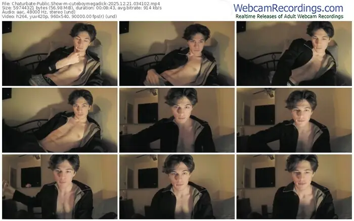 2025/12/21/chaturbate-cuteboymegadick-03-41-02