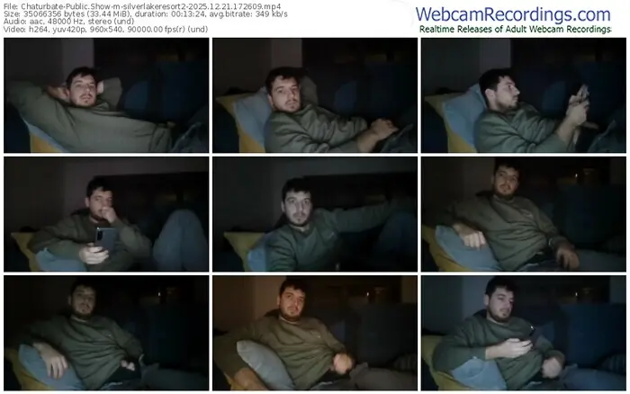 2025/12/21/chaturbate-silverlakeresort2-17-26-09