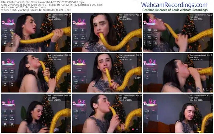 2025/12/22/chaturbate-evarabbit-03-04-23