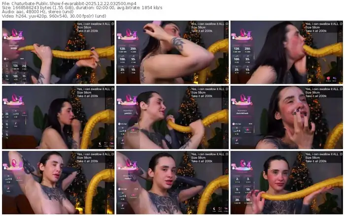 2025/12/22/chaturbate-evarabbit-03-25-00