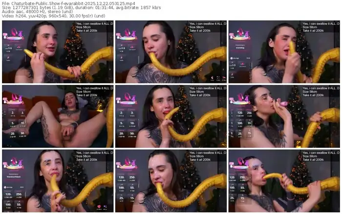 2025/12/22/chaturbate-evarabbit-05-31-25