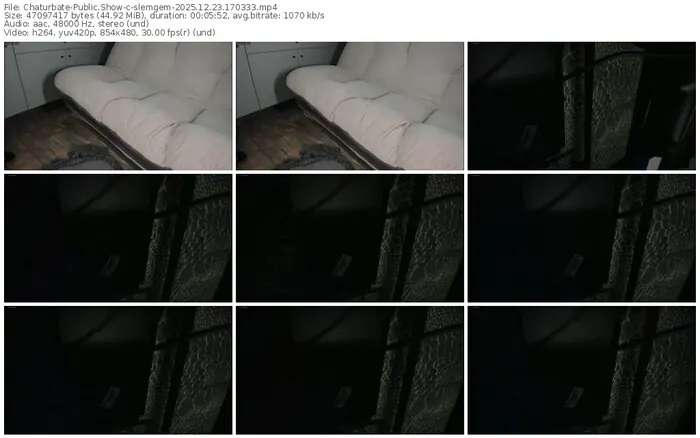 2025/12/23/chaturbate-slemgem-17-03-33