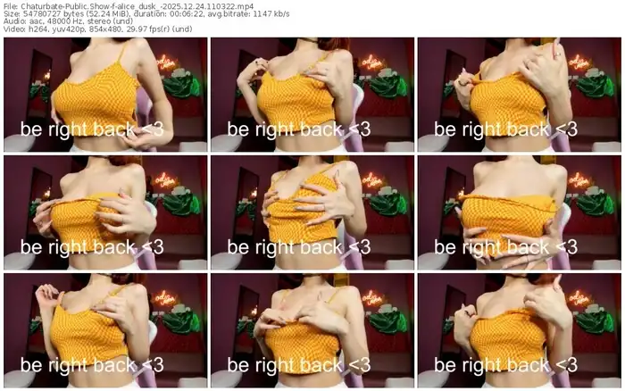 2025/12/24/chaturbate-alice_dusk_-11-03-22