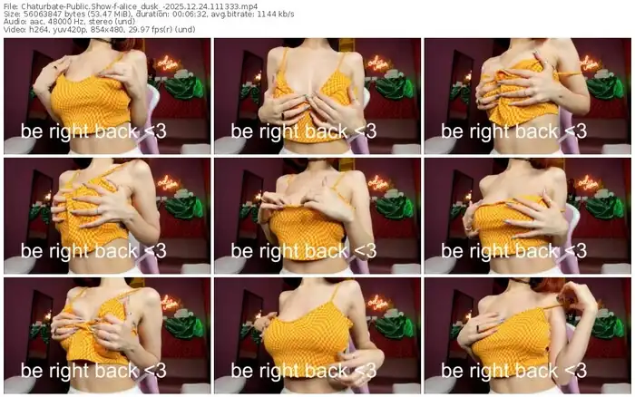 2025/12/24/chaturbate-alice_dusk_-11-13-33