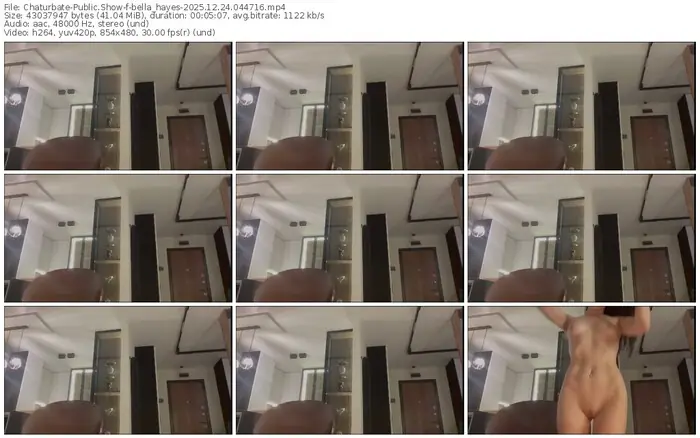 2025/12/24/chaturbate-bella_hayes-04-47-16