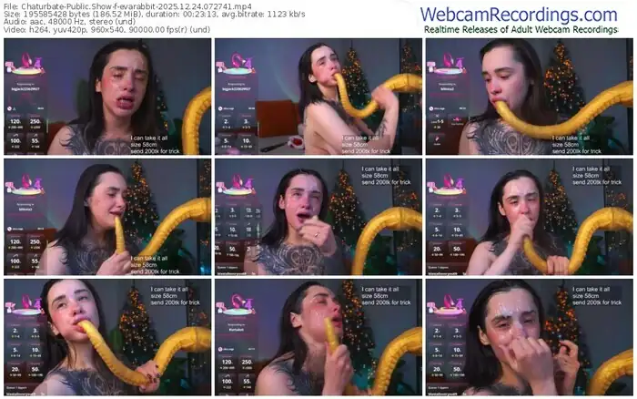 2025/12/24/chaturbate-evarabbit-07-27-41