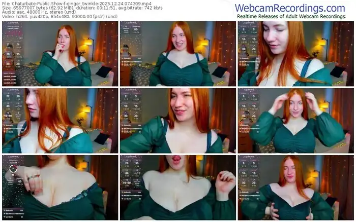 2025/12/24/chaturbate-ginger_twinkle-07-43-09