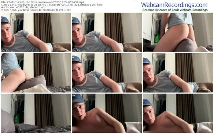 2025/12/24/chaturbate-alexwos-06-54-50