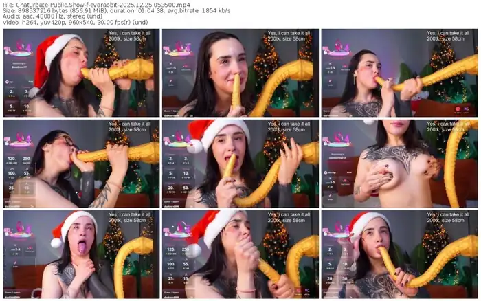 2025/12/25/chaturbate-evarabbit-05-35-00