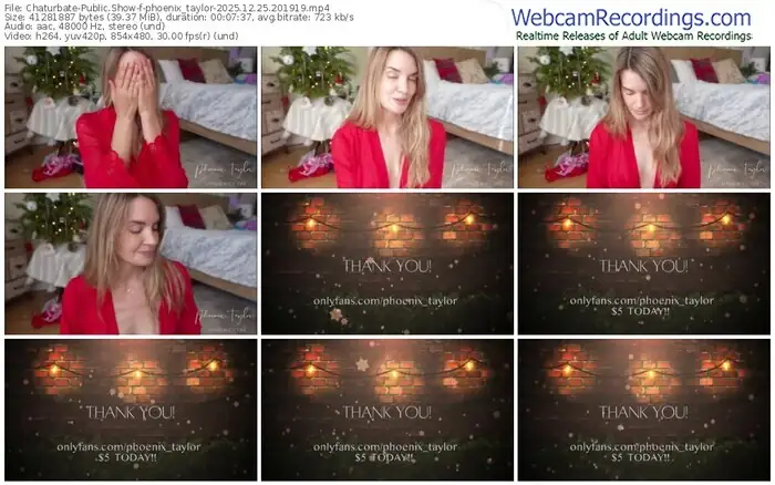2025/12/25/chaturbate-phoenix_taylor-20-19-19