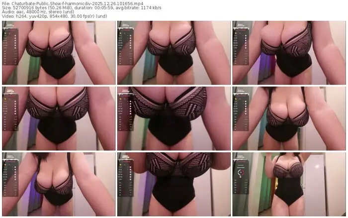 2025/12/26/chaturbate-harmonicdiv-10-16-56