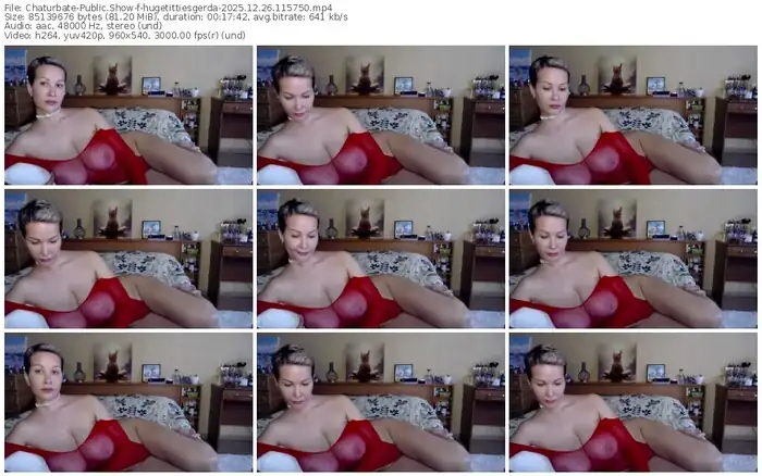 2025/12/26/chaturbate-hugetittiesgerda-11-57-50