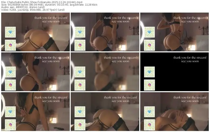 2025/12/26/chaturbate-inkanuko-10-24-41