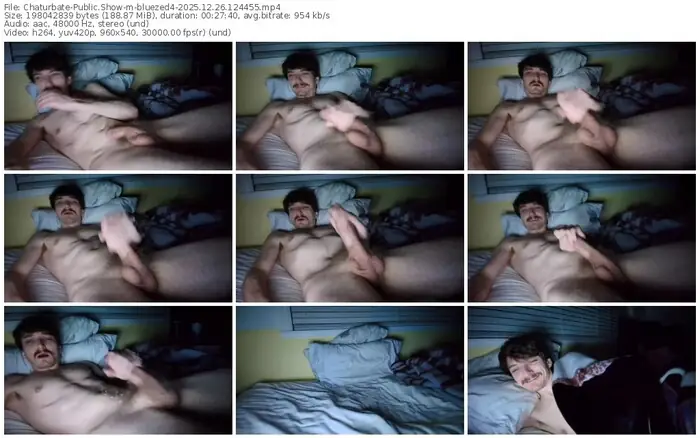 2025/12/26/chaturbate-bluezed4-12-44-55