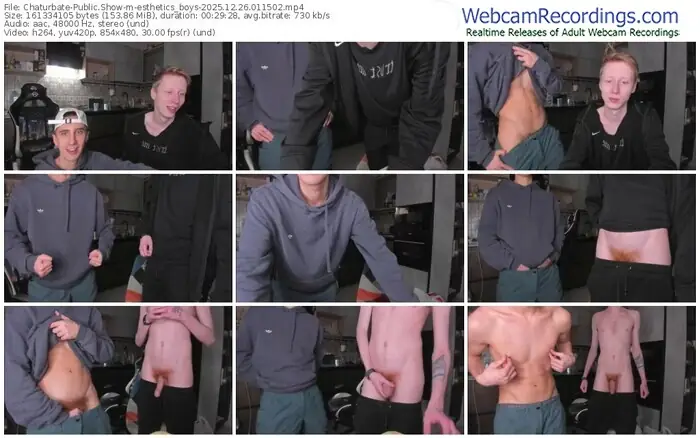2025/12/26/chaturbate-esthetics_boys-01-15-02