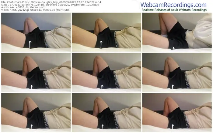 2025/12/26/chaturbate-naughty_boy_696969-22-46-29
