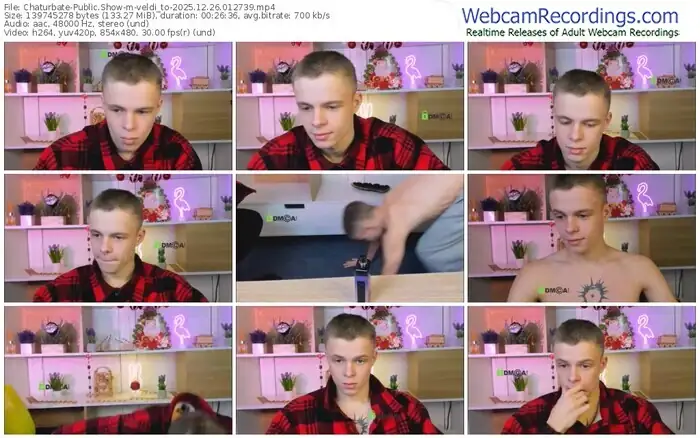 2025/12/26/chaturbate-veldi_to-01-27-39