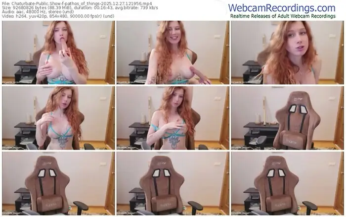 2025/12/27/chaturbate-pathos_of_things-12-19-56