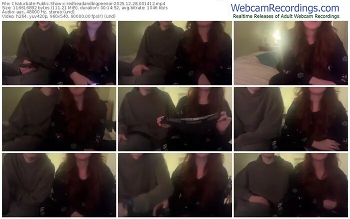 2025/12/28/chaturbate-redheadandbigpeenar-00-14-12