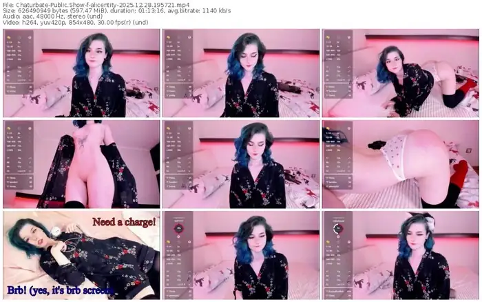 2025/12/28/chaturbate-alicentity-19-57-21