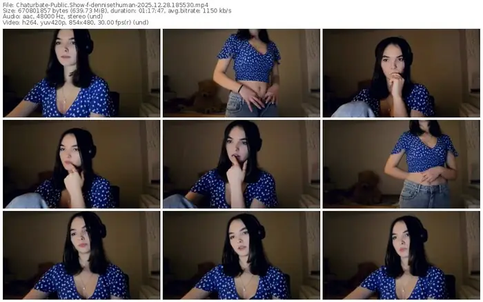 2025/12/28/chaturbate-dennisethuman-18-55-30