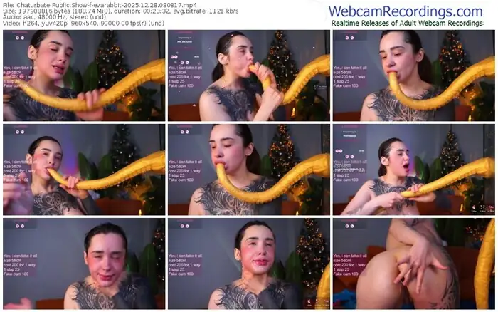 2025/12/28/chaturbate-evarabbit-08-08-17
