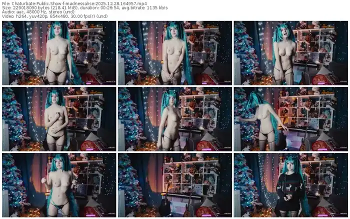 2025/12/28/chaturbate-madnessalise-16-49-57