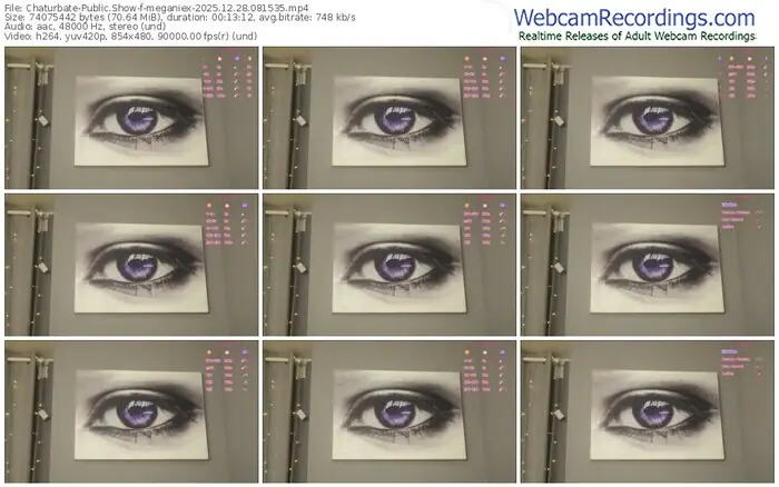 2025/12/28/chaturbate-meganiex-08-15-35