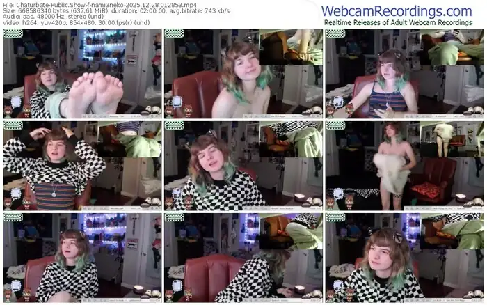 2025/12/28/chaturbate-nami3neko-01-28-53
