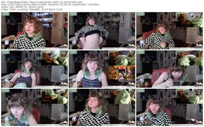 2025/12/28/chaturbate-nami3neko-01-29-39