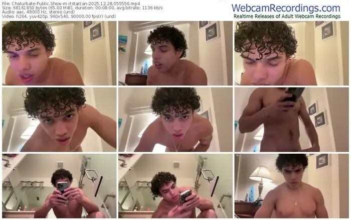 2025/12/28/chaturbate-itstarzan-05-55-56