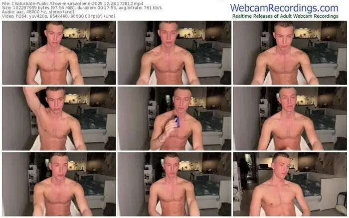 2025/12/28/chaturbate-ursaotome-17-28-12