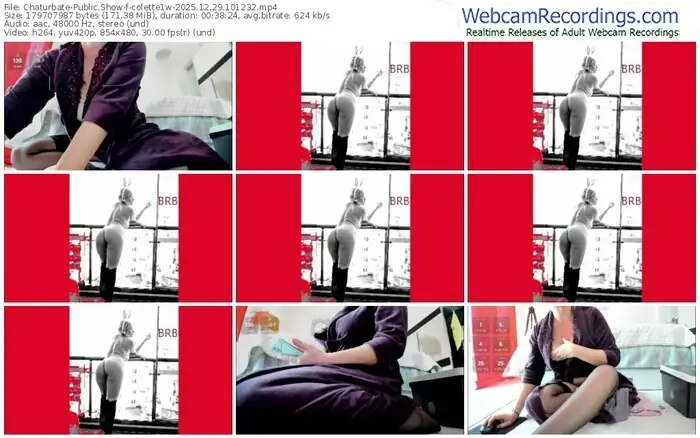 2025/12/29/chaturbate-colette1w-10-12-32