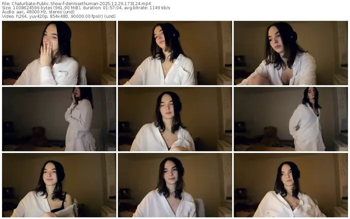 2025/12/29/chaturbate-dennisethuman-17-31-24