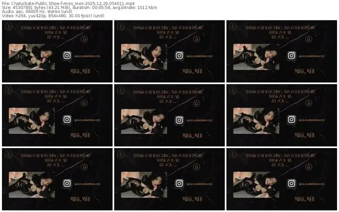 2025/12/29/chaturbate-miss_meii-05-40-11