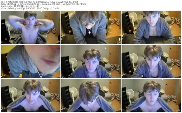 2025/12/29/chaturbate-bigman32124-00-03-07