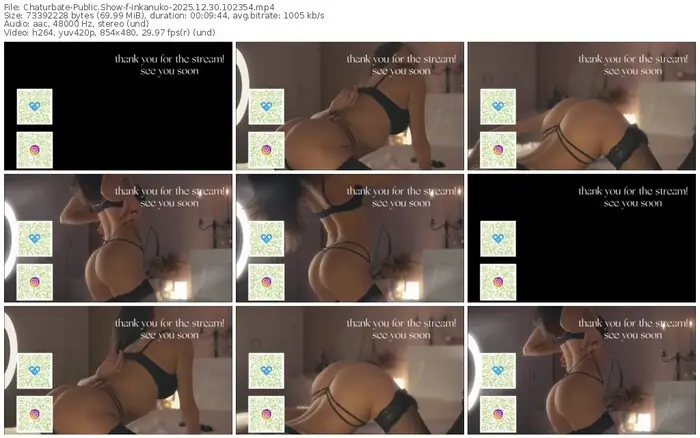 2025/12/30/chaturbate-inkanuko-10-23-54