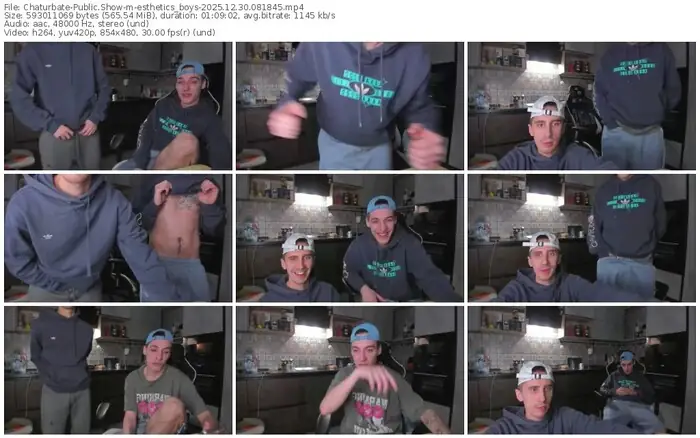 2025/12/30/chaturbate-esthetics_boys-08-18-45