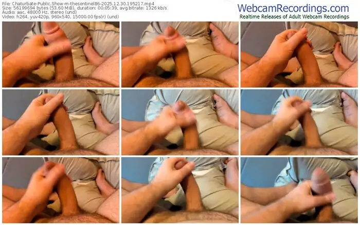2025/12/30/chaturbate-thesentinel86-19-52-17
